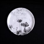6 Pcs Dinner Plate Nova