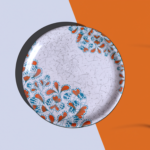 6 Pcs Dinner Plate Flair