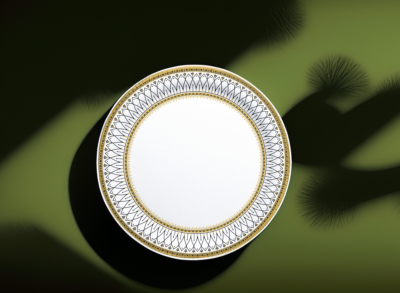 6 Pcs Dinner Plate Luminous